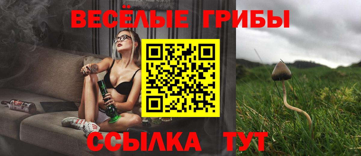 Псилоцибиновые грибы мицелий  Псилоцибиновые грибы прущие грибы  Кохма  Вход с VPN 
